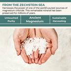 ŐSIMAGNESIUM Body Lotion + Melatonin + OptiMSM-0.25oz SAMPLE