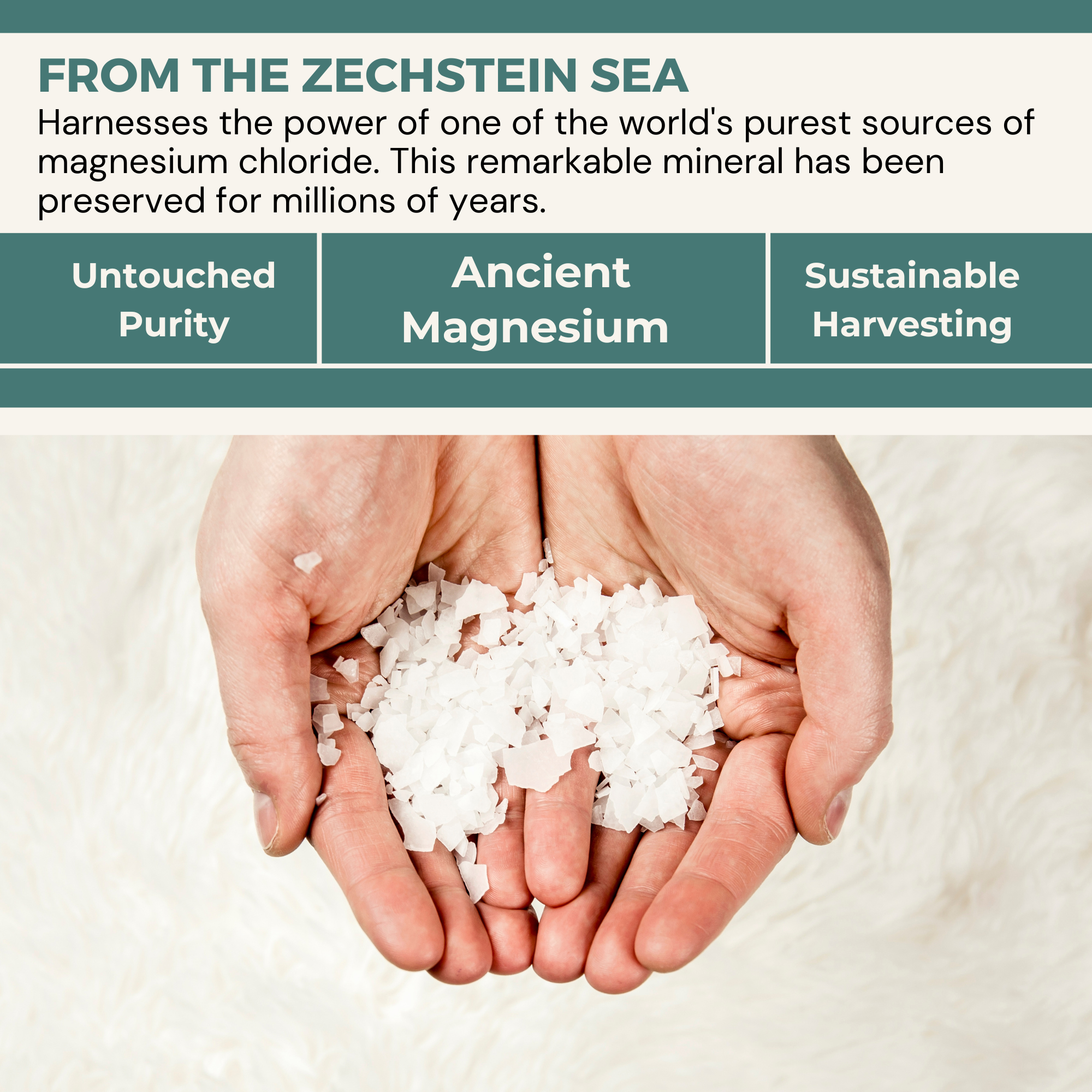 ŐSIMAGNESIUM Body Lotion + Melatonin + OptiMSM-0.25oz SAMPLE